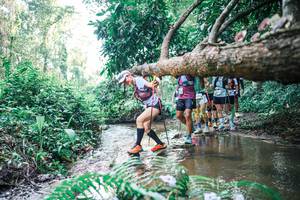 BIB: 
                            <button type="button" onclick="openModal(25462443)" class="btn btn-primary btn-sm float-right btn-popup" data-toggle="modal" data-target=".modal-high-quality">
                        <i class="fas fa-shopping-cart"></i> Add to Cart
                    </button>
                                            <button type="button" onclick="isThisMe(25462443, true)" class="btn btn-success btn-sm float-right btn-popup btn-isme hidden" data-toggle="tooltip" data-placement="bottom" title="นี่คือรูปของคุณใช่ไหม คลิกที่นี่เพื่อเอาเข้าอัลบั้ม">
                        <i class="fas fa-plus"></i> Add to album
                    </button>
                    <button type="button" onclick="isThisMe(25462443, false)" class="btn btn-warning btn-sm float-right btn-popup btn-isnotme hidden">
                        <i class="fas fa-ban"></i> Remove from album
                    </button>